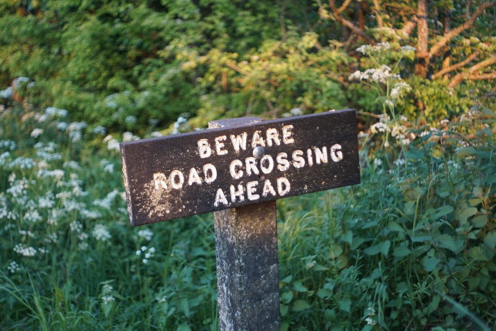 A wooden road sign reading "Beware Road Crossing Ahead"