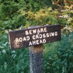 A wooden road sign reading "Beware Road Crossing Ahead"