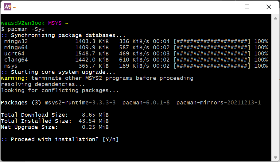 Screenshot of the MSYS2 terminal showing the need to confirm continuing with the installation.
